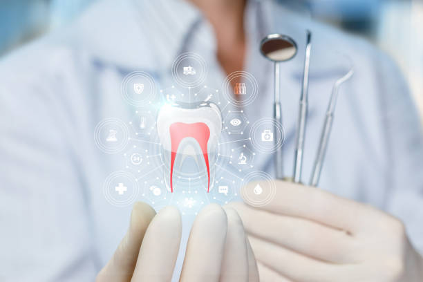Trusted Milford, PA Holistic Dental Care Services Experts